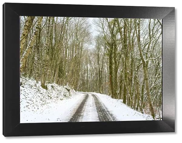 A small road through snow-covered forest in winter, La Creuse, Limousin, France