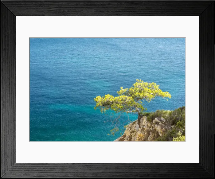 Framed Print : Lone pine tree growing from rocky ledge over blue water, Calanque de Sugiton, Parc