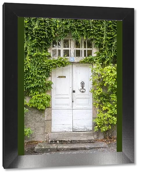 Front door of French house covered in vines (Parthenocissus tricuspidata), Argentat