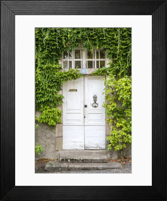 Framed Print : Front door of French house covered in vines (Parthenocissus tricuspidata), Argentat Framed Print : Front door of French house covered in vines (Parthenocissus tricuspidata), Argentat