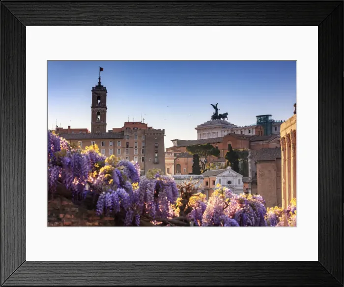 Framed Print : Italy, Rome, Roman Forum and Altare della Patria monument at sunset Framed Print : Italy, Rome, Roman Forum and Altare della Patria monument at sunset