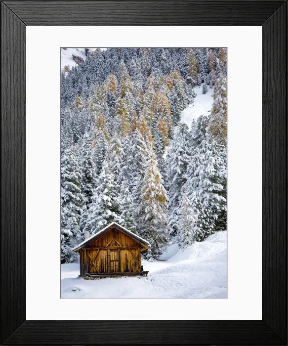 Framed Print : Trentino Alto Adige, Italy. Lonely wooden chalet with snowy autumn trees in background Framed Print : Trentino Alto Adige, Italy. Lonely wooden chalet with snowy autumn trees in background