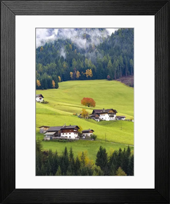 Framed Print : Trentino Alto Adige, Italy. Autumn scenic outdoor, foliage and green hills with snowy Framed Print : Trentino Alto Adige, Italy. Autumn scenic outdoor, foliage and green hills with snowy