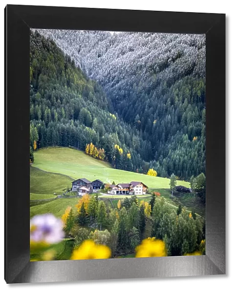 Trentino Alto Adige, Italy. Autumn scenic outdoor, foliage and green hills with snowy