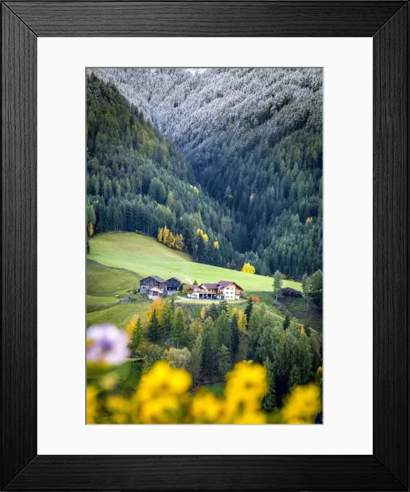 Framed Print : Trentino Alto Adige, Italy. Autumn scenic outdoor, foliage and green hills with snowy