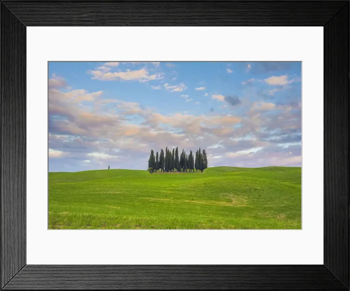 Framed Print : Orcia Valley, Tuscany, Italy. Iconic cypresses at sunset Framed Print : Orcia Valley, Tuscany, Italy. Iconic cypresses at sunset