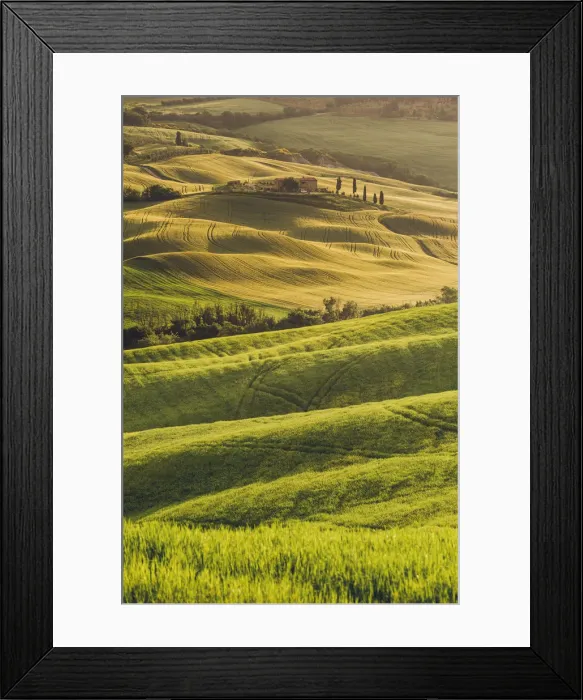 Framed Print : Orcia Valley, Tuscany, Italy. Tuscan hills at sunrise Framed Print : Orcia Valley, Tuscany, Italy. Tuscan hills at sunrise