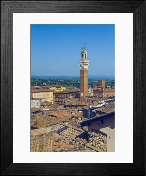 Framed Print : Siena, Tuscany, Italy. Mangias Tower and Piazza del Campo Framed Print : Siena, Tuscany, Italy. Mangias Tower and Piazza del Campo