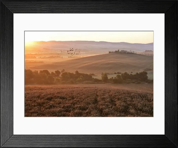 Framed Print : Orcia Valley, San Quirico d Orcia, Tuscany, Italy, Europe