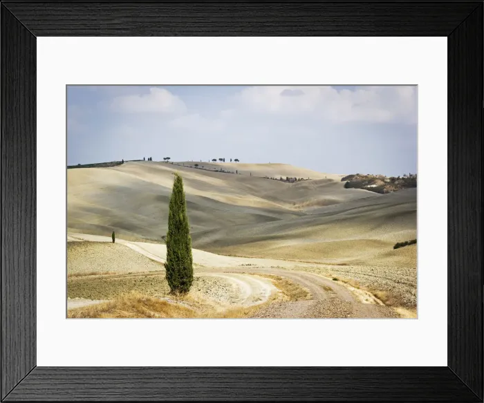 Framed Print : Tuscany, Val d Orcia, arid landscape with cypress trees Framed Print : Tuscany, Val d Orcia, arid landscape with cypress trees