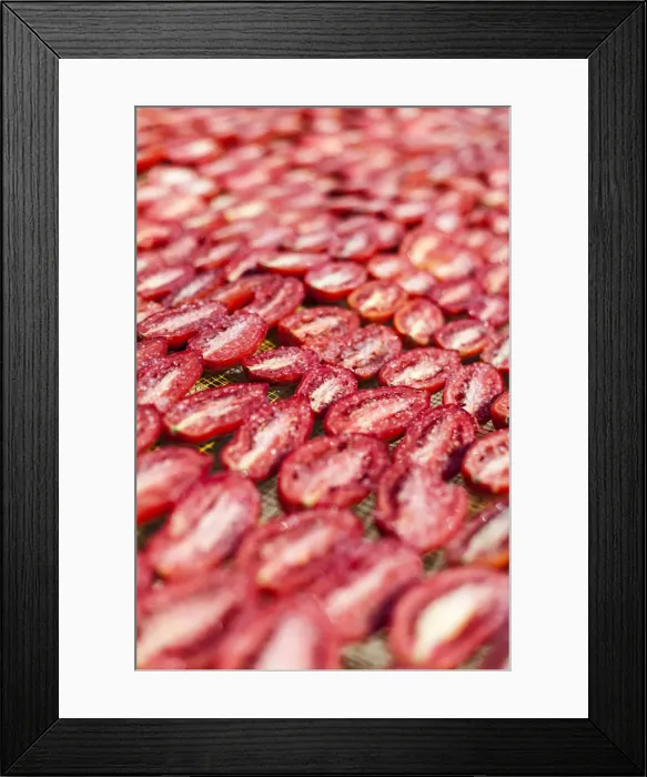 Framed Print : Italia, Italy, Apulia, Puglia. Salento, Salentine Peninsula
