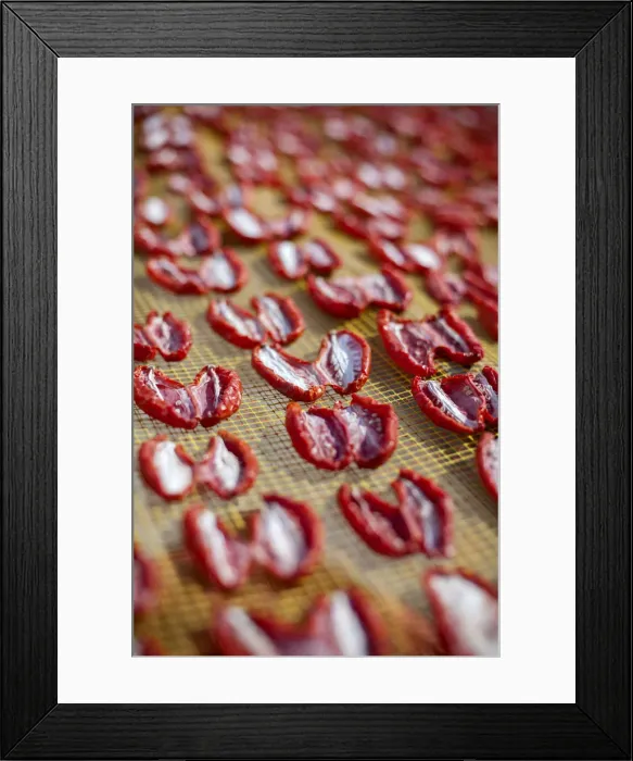 Framed Print : Italia, Italy, Apulia, Puglia. Salento, Salentine Peninsula