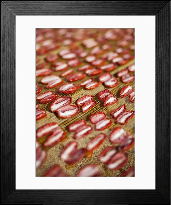 Framed Print : Italia, Italy, Apulia, Puglia. Salento, Salentine Peninsula