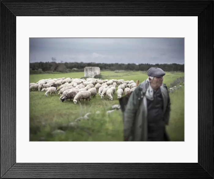 Framed Print : Italia, Italy, Apulia, Puglia. Salento, Salentine Peninsula. Lecce District. Giurdignano