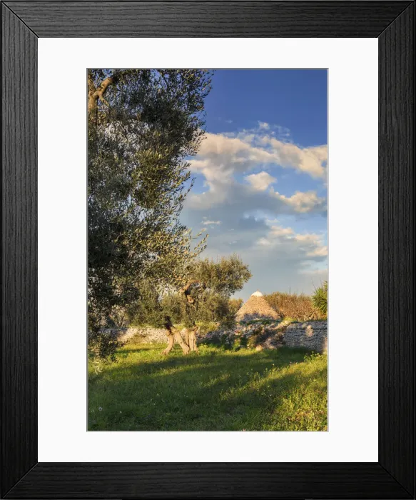 Framed Print : Italia, Italy, Apulia, Puglia, Bari district. Itria Valley. Alberobello. Typical trulli Framed Print : Italia, Italy, Apulia, Puglia, Bari district. Itria Valley. Alberobello. Typical trulli