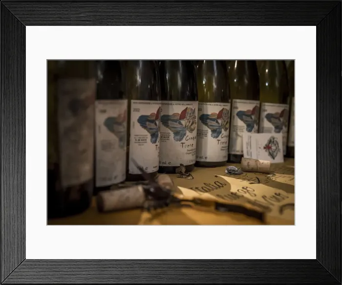 Framed Print : Europe, Italy, a winetasting Framed Print : Europe, Italy, a winetasting