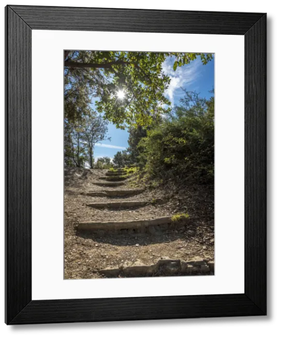 Framed Print : Europe, Italy, Monterosso. the hiking path to Levanto