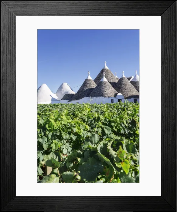 Framed Print : Italia, Italy, Apulia, Puglia, Bari district Framed Print : Italia, Italy, Apulia, Puglia, Bari district