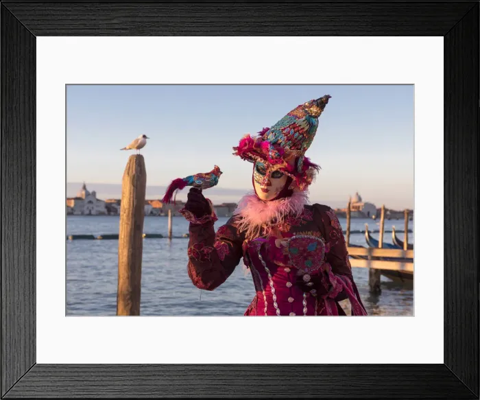 Framed Print : Woman in costume holding a bird at Carnival time and gull on post, Lagoon, Venice Framed Print : Woman in costume holding a bird at Carnival time and gull on post, Lagoon, Venice