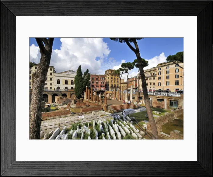 Framed Print : Area Sacra di Largo di Torre Argentina. Julius Caesar was killed in the Curia of