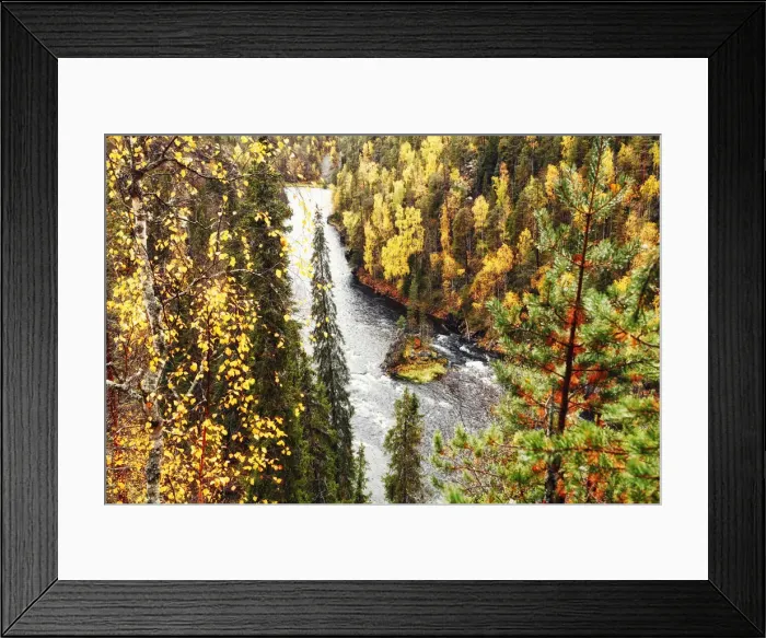 Framed Print : Europe, Finland, Lapland, Kuusamo, Oulanka National Park, Kalliosaari island in Framed Print : Europe, Finland, Lapland, Kuusamo, Oulanka National Park, Kalliosaari island in