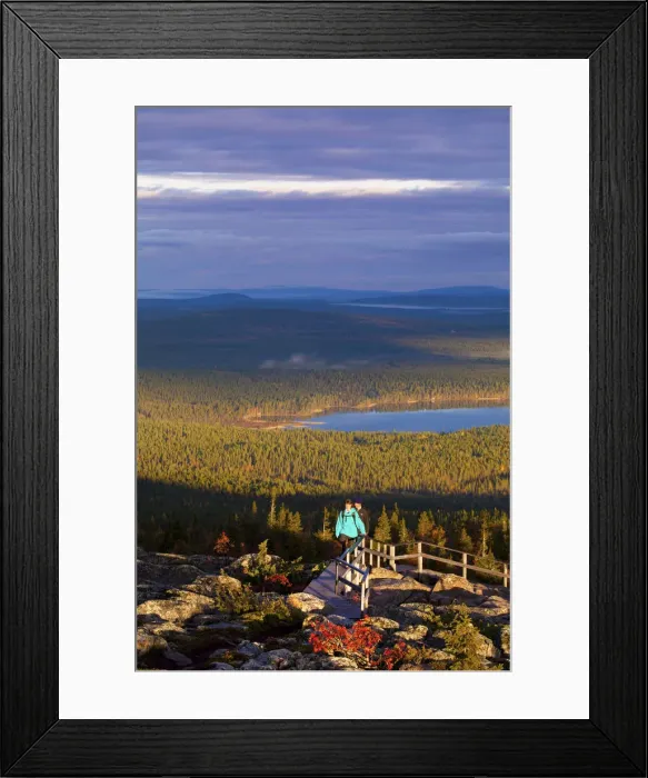 Framed Print : Europe, Finland, Lapland, Salla, hikers walking to the top of Ruuhitunturi Fell with Framed Print : Europe, Finland, Lapland, Salla, hikers walking to the top of Ruuhitunturi Fell with