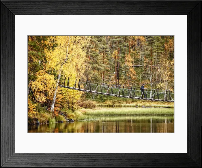 Framed Print : Europe, Finland, Lapland, Kuusamo, Oulanka National Park, Karhunkierros Trail -