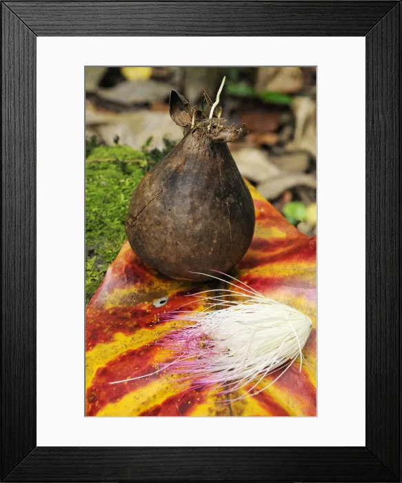 Framed Print : Pandanus, Moorea, French Polynesia, South Seas Framed Print : Pandanus, Moorea, French Polynesia, South Seas