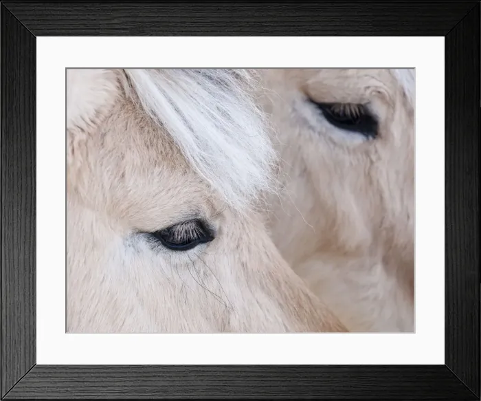 Framed Print : Close-up of a horses eye, Lapland, Finland