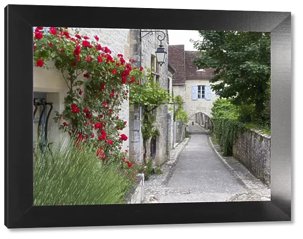 France, Lot, Martel, A narrow, cobbled street and covered walkway with roses