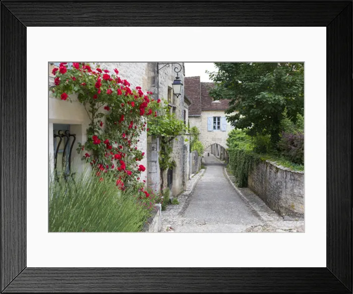 Framed Print : France, Lot, Martel, A narrow, cobbled street and covered walkway with roses Framed Print : France, Lot, Martel, A narrow, cobbled street and covered walkway with roses