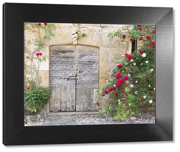 France, Lot, Carennac, An old wooden barn door surrounded by roses in the heart of