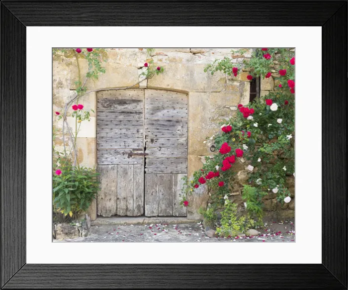 Framed Print : France, Lot, Carennac, An old wooden barn door surrounded by roses in the heart of Framed Print : France, Lot, Carennac, An old wooden barn door surrounded by roses in the heart of