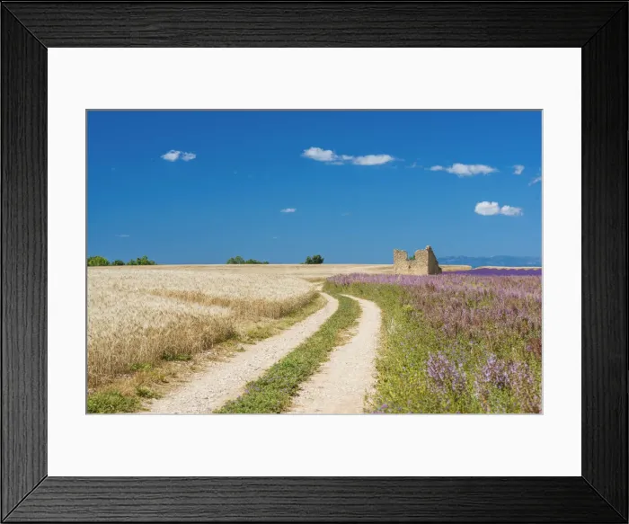 Framed Print : Track Leading Through Fields, Provence, France Framed Print : Track Leading Through Fields, Provence, France
