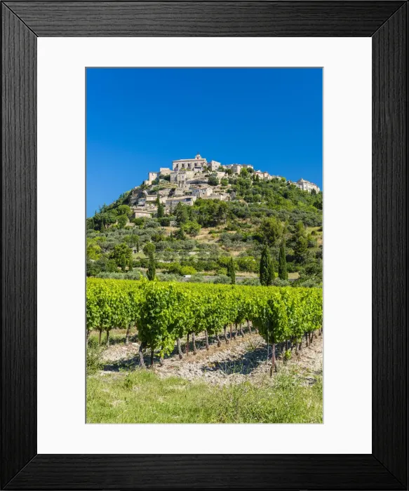 Framed Print : Vineyards with village of Gordes in the background, Vaucluse, Provence, France Framed Print : Vineyards with village of Gordes in the background, Vaucluse, Provence, France