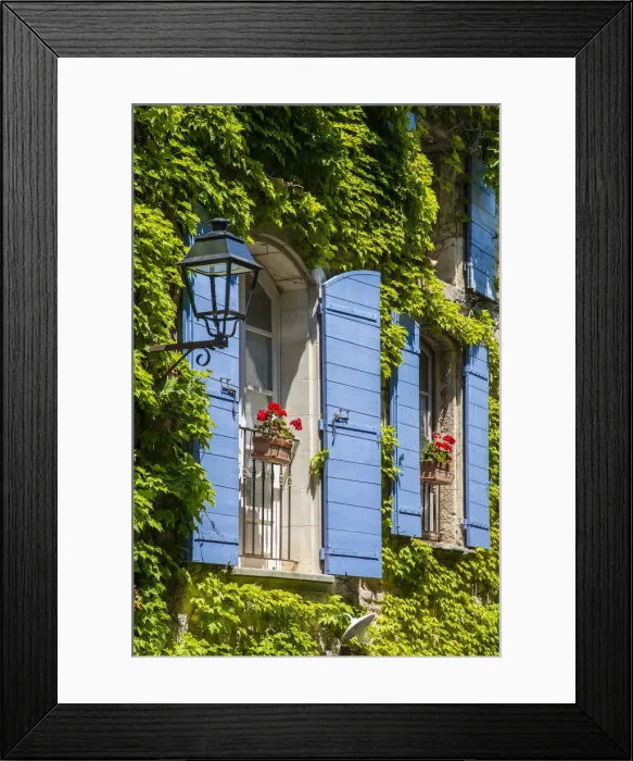 Framed Print : Ivy surrounded house windows in Provence, France Framed Print : Ivy surrounded house windows in Provence, France