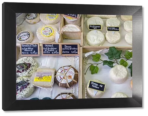 Local cheeses on sale in a gastronomy shop, LaaIsle-sur-la-Sorgue, Provence, France