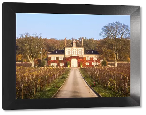 Domaine d Ardhuy winery, Aloxe Corton, Burgundy, France