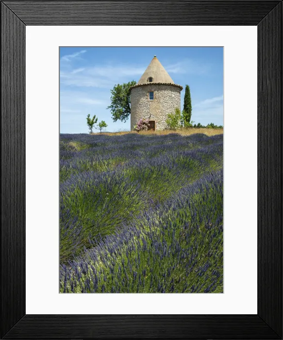 Framed Print : Europe, France, Provence, tower and lavender field Framed Print : Europe, France, Provence, tower and lavender field