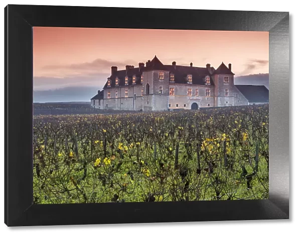 Vougeot castle and vineyards, Burgundy, France