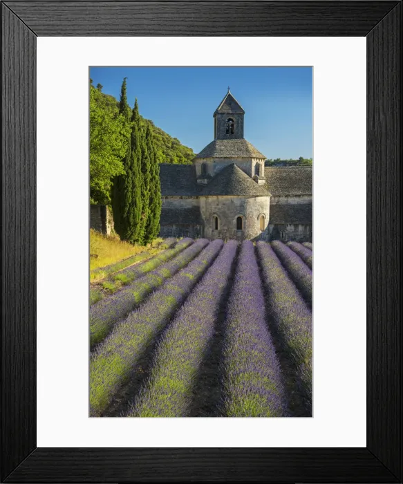 Framed Print : Sa nanque Abbey is a Cistercian abbey near the village of Gordes in the departement Framed Print : Sa nanque Abbey is a Cistercian abbey near the village of Gordes in the departement