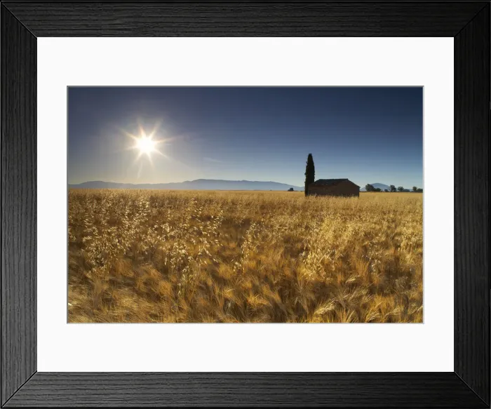 Framed Print : Barn in Field of Barely, near Valensole, Alpes de Haute, Provence, France Framed Print : Barn in Field of Barely, near Valensole, Alpes de Haute, Provence, France