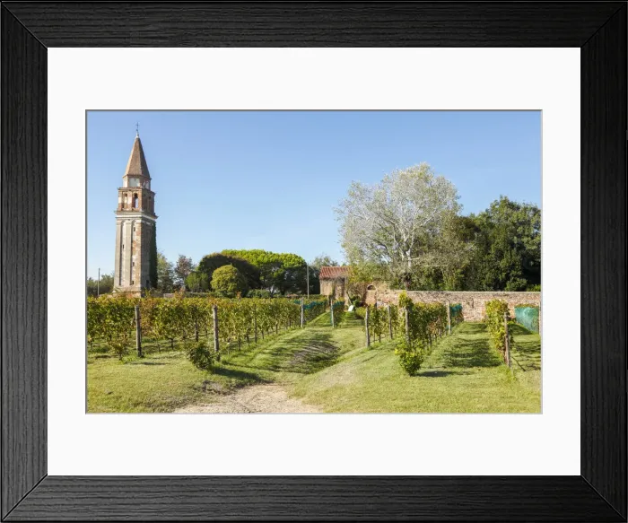 Framed Print : Isola di Mazzorbo, Venice, Veneto, Italy, Europe Framed Print : Isola di Mazzorbo, Venice, Veneto, Italy, Europe