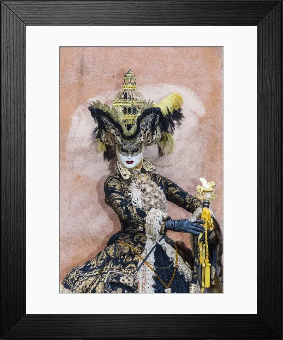 Framed Print : A woman in a magnificent costume at the Venice Carnival, Venice, Italy