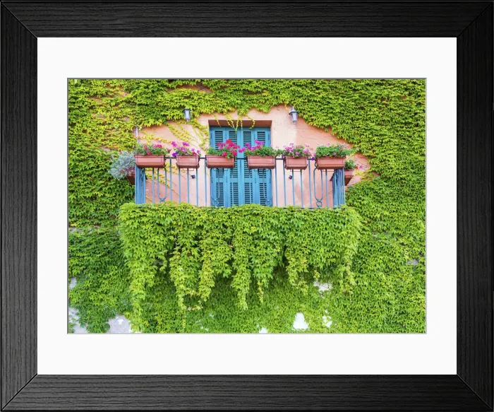 Framed Print : Ivy-covered Balcony, Castiglione della Pescaia, Tucany, Italy Framed Print : Ivy-covered Balcony, Castiglione della Pescaia, Tucany, Italy