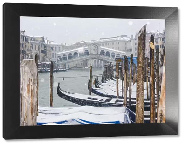 Snowfall at Rialto Bridge, Venice, Veneto, Italy