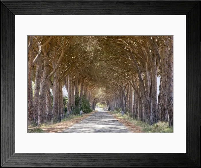 Framed Print : Italy. Tuscany. Grosseto district. Maremma. Alberese Framed Print : Italy. Tuscany. Grosseto district. Maremma. Alberese