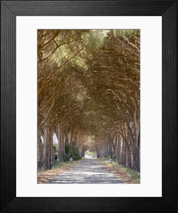 Framed Print : Italy. Tuscany. Grosseto district. Maremma. Alberese Framed Print : Italy. Tuscany. Grosseto district. Maremma. Alberese