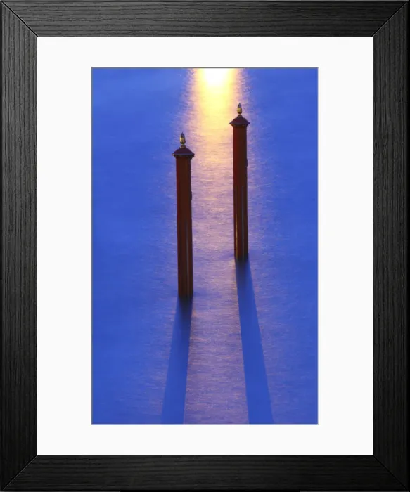 Framed Print : Pollard in the Grand Canal, Venice, Veneto, Italy