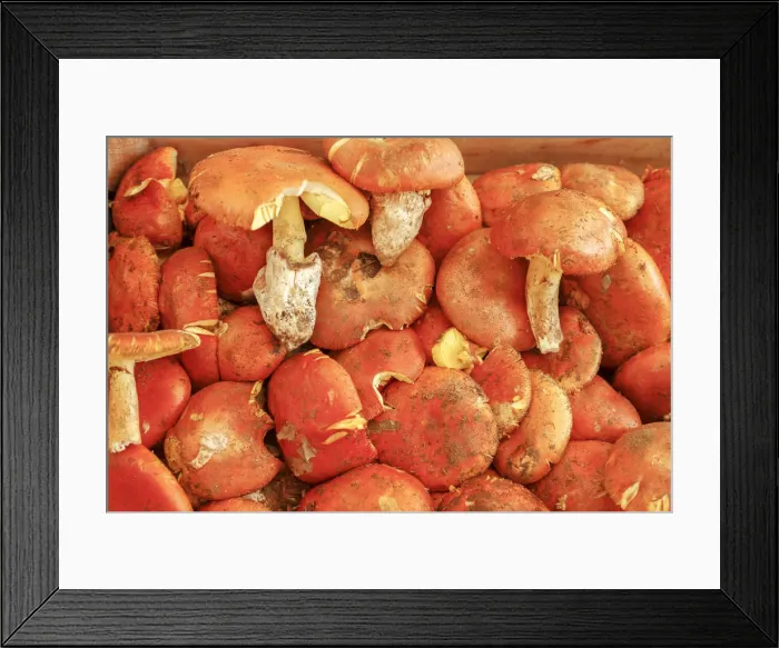Framed Print : Mercati di Rialto (Rialto Market), Venice, Veneto, Italy